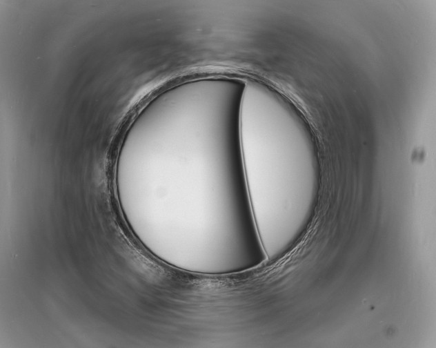 X0000096391404200801241106