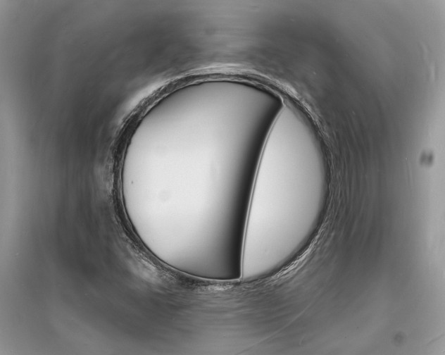 X0000096391406200801241106