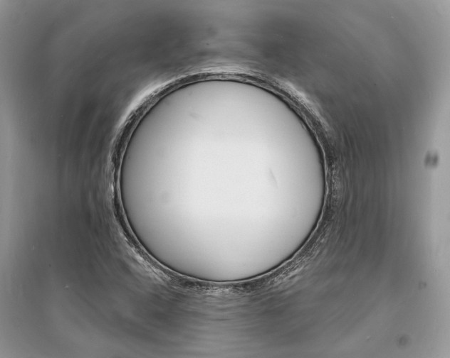 X0000096391408200801241106