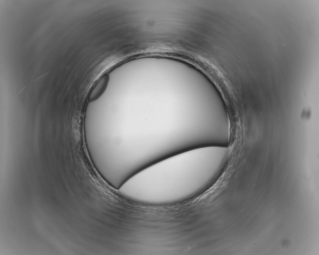 X0000096391409200801241106