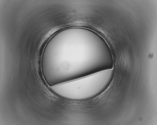 X0000096391410200801241106