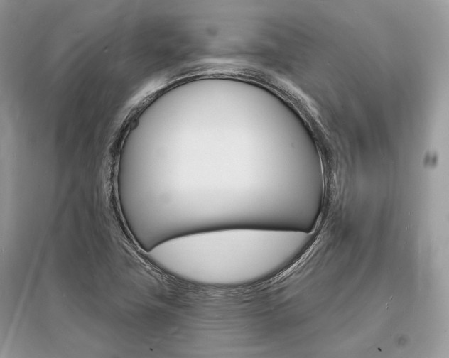 X0000096391411200801241106