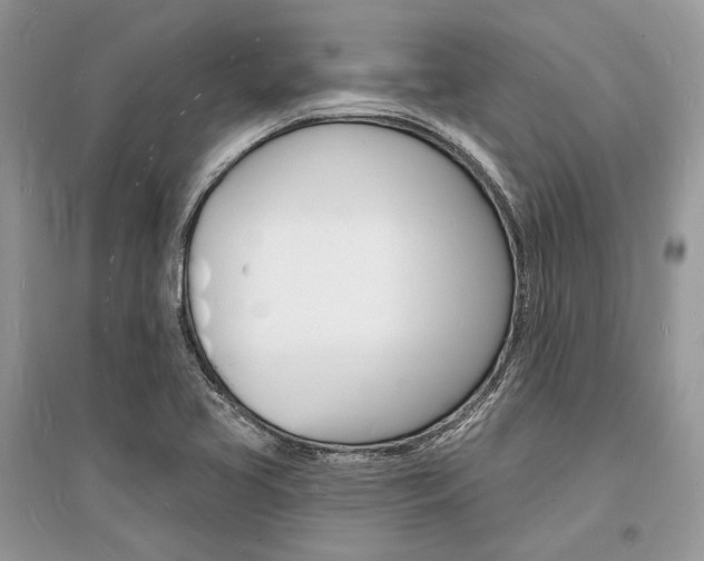 X0000096391413200801241106