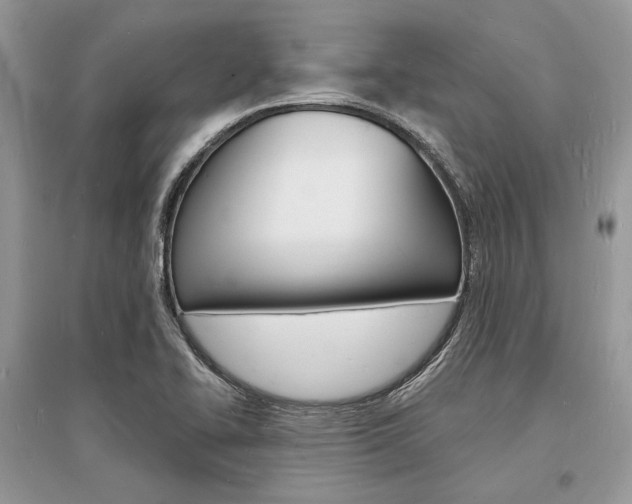 X0000096391414200801241106