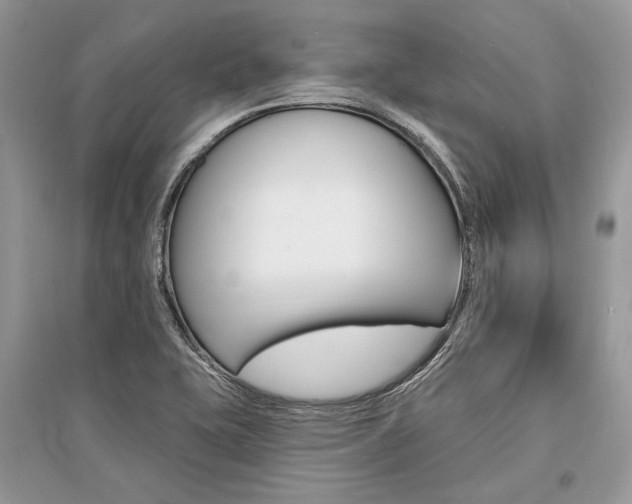 X0000096391415200801241106