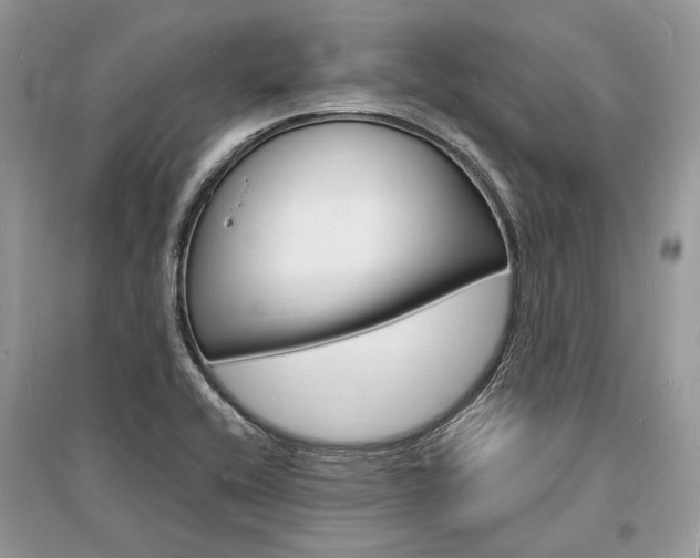 X0000096391416200801241106