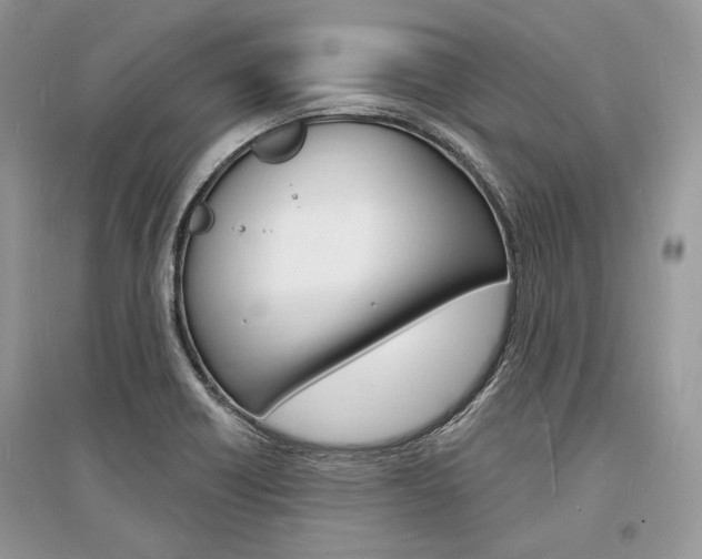X0000096391418200801241106