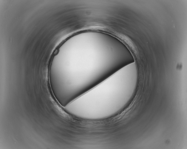X0000096391420200801241106