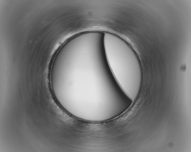 X0000096391422200801241106