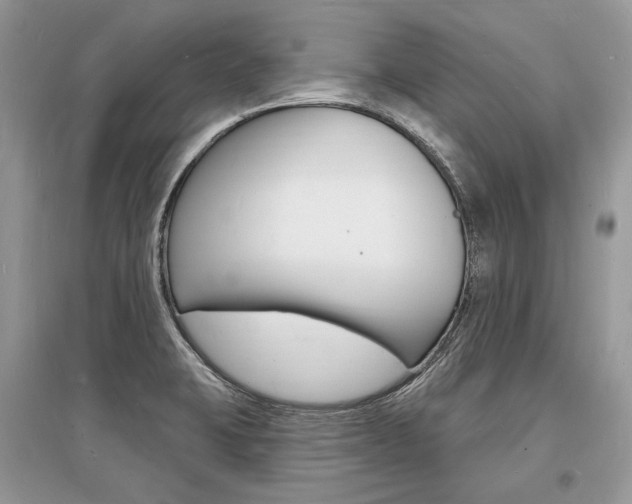 X0000096391423200801241106