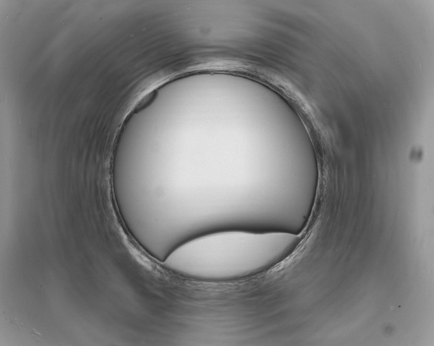 X0000096391425200801241106