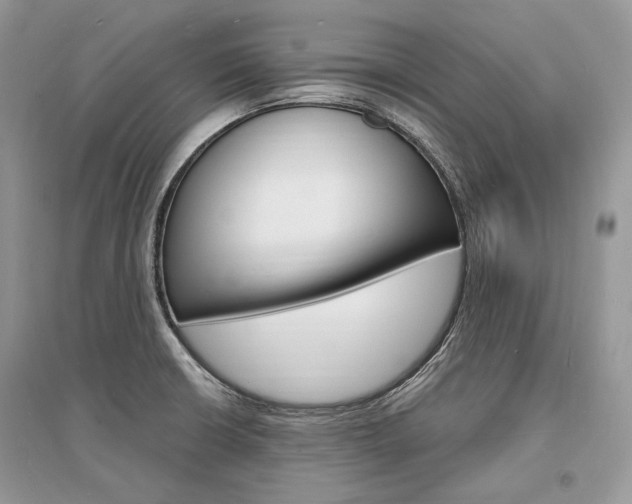 X0000096391426200801241106