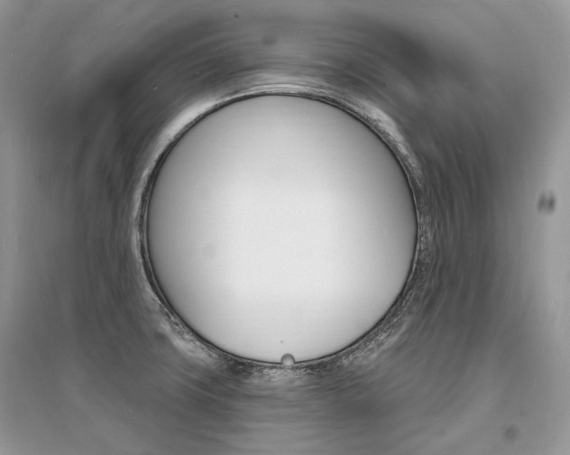 X0000096391427200801241106