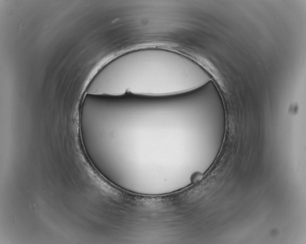 X0000096391428200801241106