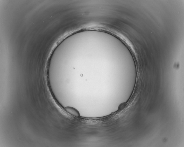 X0000096391429200801241106