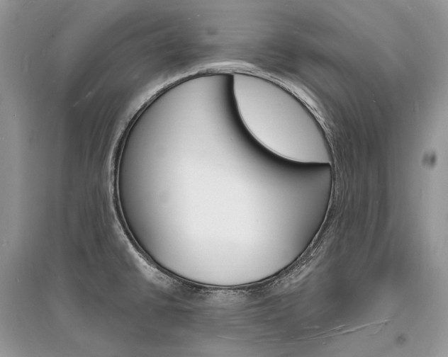 X0000096391430200801241106