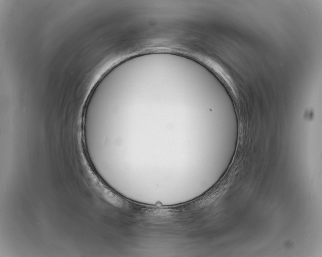 X0000096391431200801241106