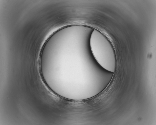 X0000096391432200801241106