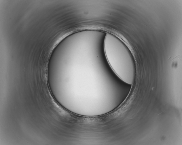 X0000096391433200801241106
