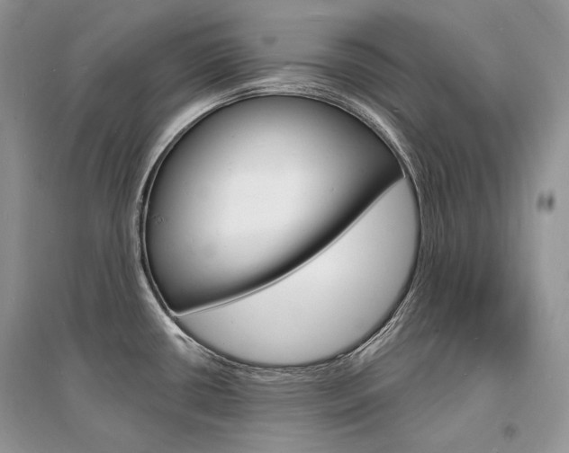 X0000096391434200801241106