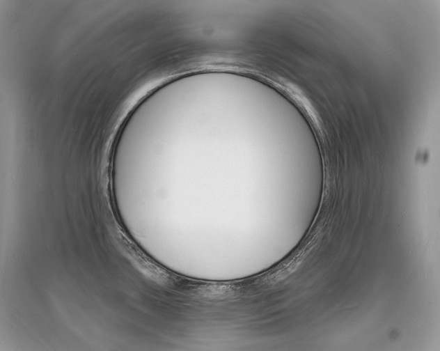 X0000096391435200801241106