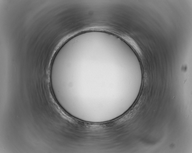 X0000096391436200801241106
