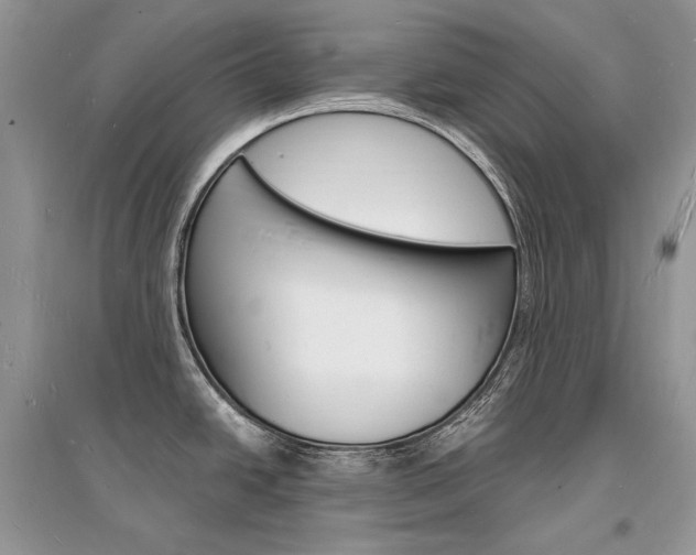 X0000096391438200801241106