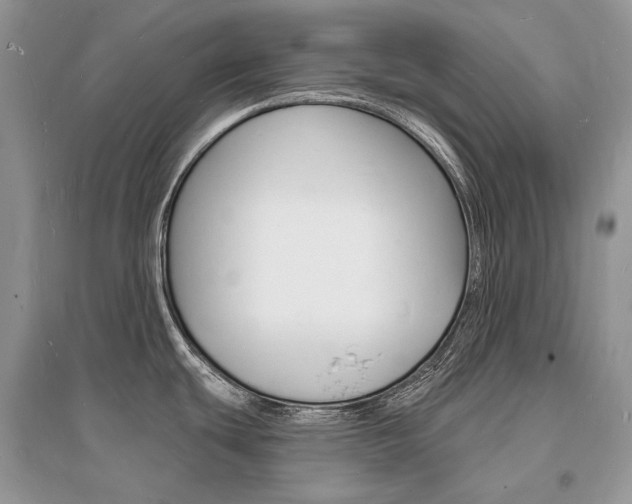 X0000096391439200801241106