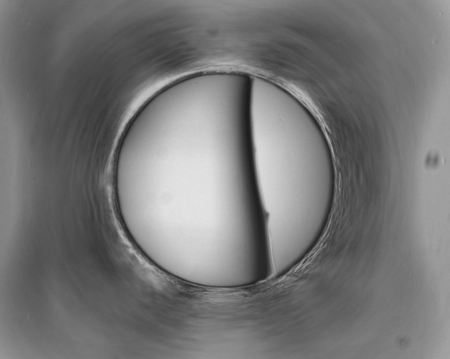 X0000096391440200801241106