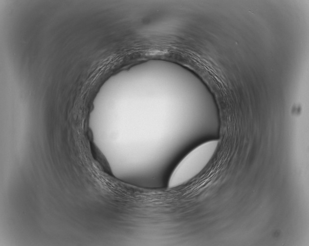 X0000096391441200801241106