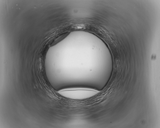 X0000096391442200801241106