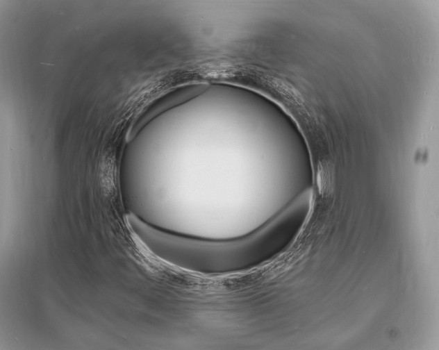 X0000096391444200801241106
