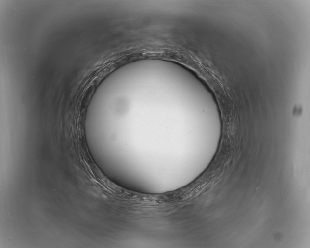 X0000096391445200801241105