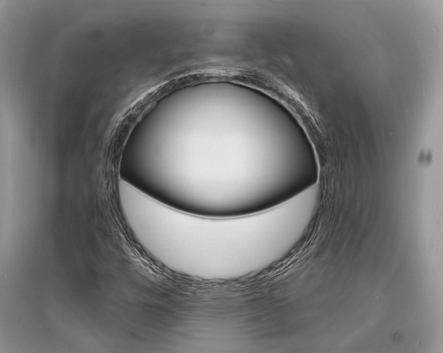 X0000096391448200801241105