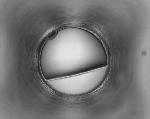 X0000096391450200801241105