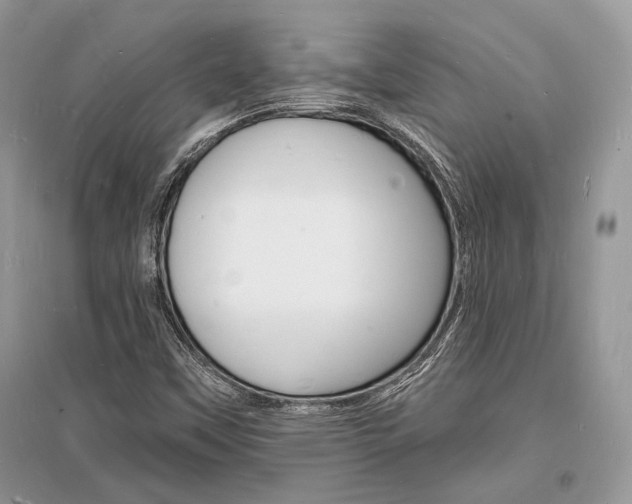 X0000096391451200801241105