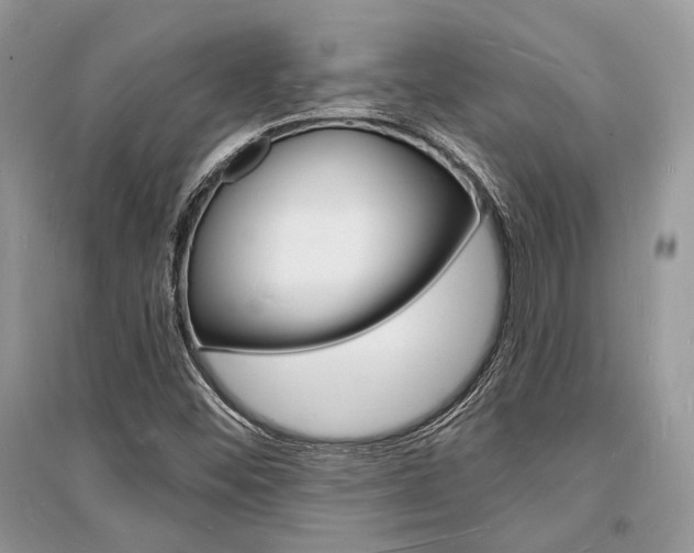 X0000096391452200801241105