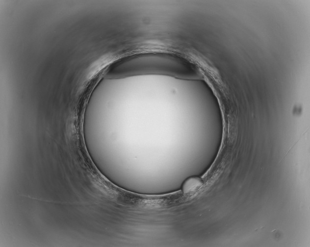 X0000096391453200801241105