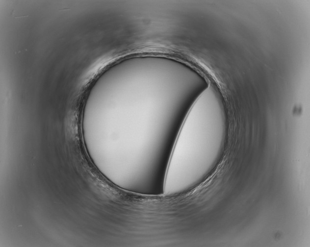 X0000096391455200801241105
