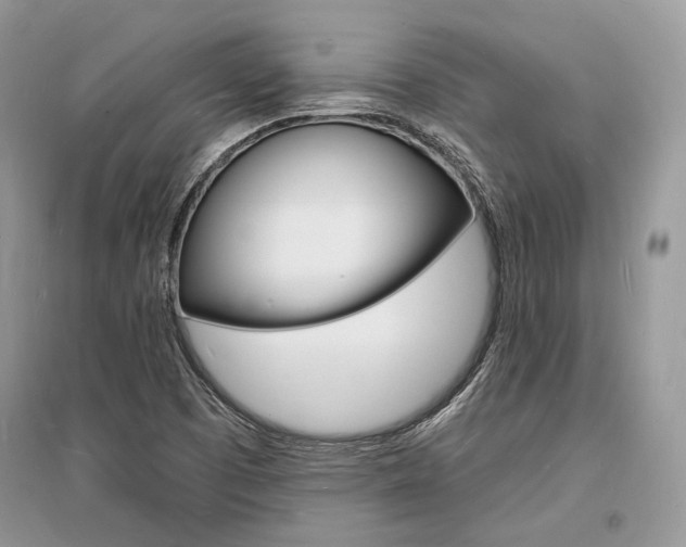 X0000096391457200801241105