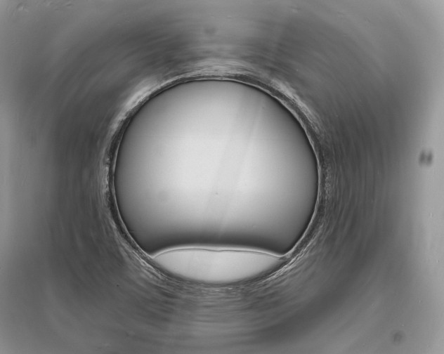 X0000096391459200801241105