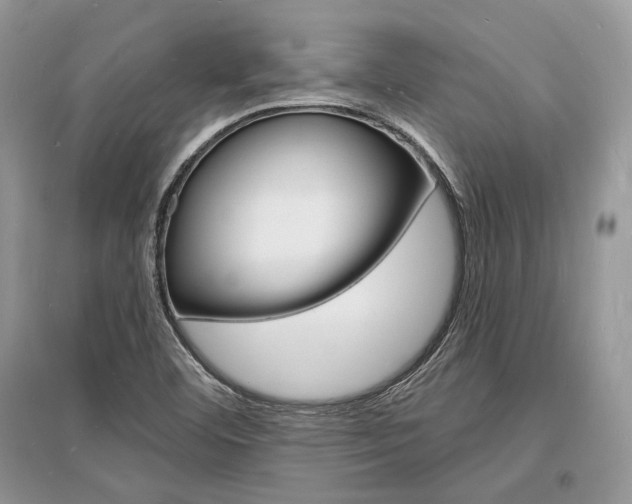 X0000096391460200801241105
