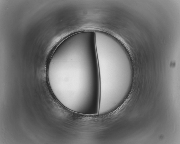 X0000096391461200801241105