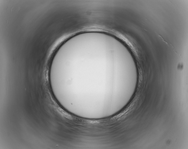 X0000096391462200801241105