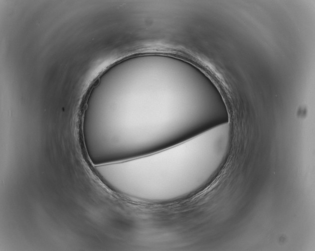 X0000096391463200801241105