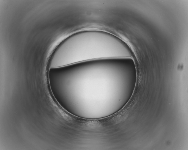 X0000096391464200801241105