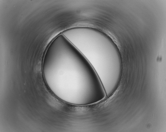 X0000096391465200801241105