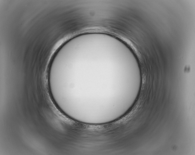 X0000096391466200801241105