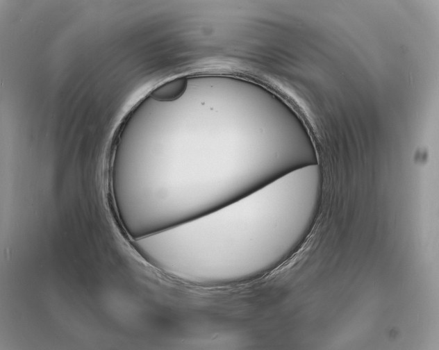 X0000096391467200801241105