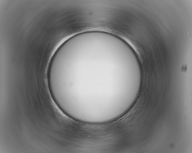 X0000096391468200801241105